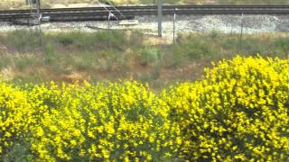 I STILL HAVEN'T FOUND WHAT I'M LOOKING FOR