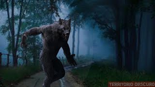 O PASTOR EA MULHER LOBISOMEM. (BÔNUS "A VELHA CIGANA EA BOLA DE LUZ" ) SÓ RELATO TOP