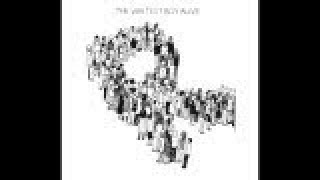 The Whitest Boy Alive &quot;Rules&quot; Album Preview