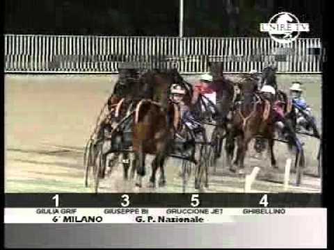 Premio Nazionale 2006 -Giulia Grif