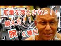 《じぃじの筋トレ》減量中盤!!筋量を落とさない!!二頭筋&三頭筋を6種目で鍛える!!