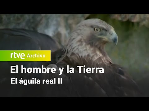 El hombre y la tierra: Chapter 47 - The Golden Eagle II | RTVE Archivo