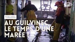 Au Guilvinec, le temps d’une marée  - Thalassa (reportage complet)