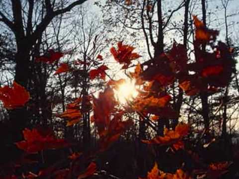 Jonny Fair/Autumn Leaves