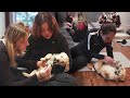 Puppy Yoga Class Involves 10 Golden Retriever Pups