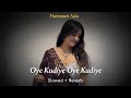 Oye Kudiye Oye Kudiye Slowed Reverb Old Hindi Song Hansasari Aala