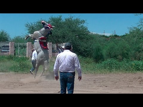 Carreras de Caballos en Cumpas 6 de Agosto 2022
