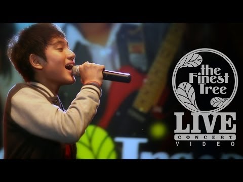 Melebur Beda - LIVE CONCERT #6 - The Finest Tree