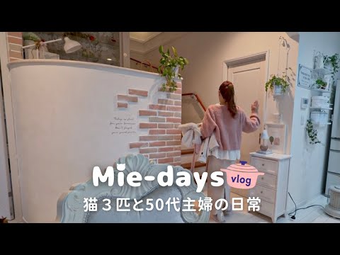 🐱 Housewife vlog with 3 cats | Pottery market & evening walk