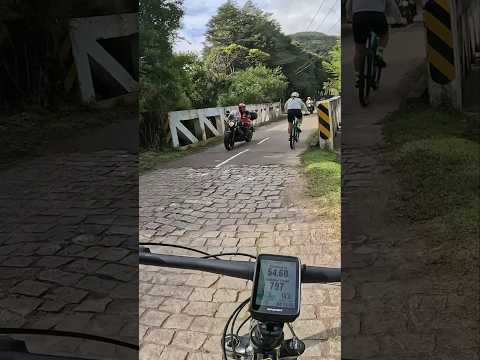 🚴Av. Dom Pedro - Quatro Barras PR.