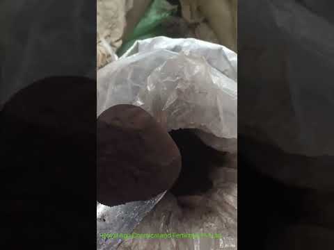 Seaweed Extract Biofertilizer