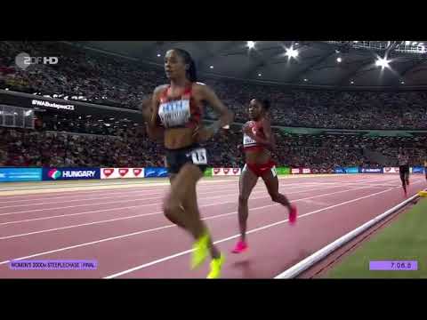 Leichtathletik WM 2023 Hindernislauf. ZDF Kommentator „...sehen alle ähnlich aus“ Rassistisch?