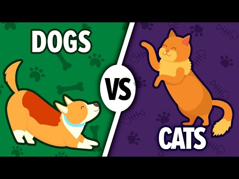 Cats vs Dogs - Which is the Better Pet?