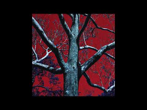 [FREE] OLD $UICIDEBOY$ x CLOUDRAP TYPE BEAT - "SHATTERED"