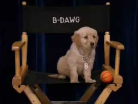 BBC Kids - Little B-Dawg: B-Dawg Rapping I am utlmate of P-U-P Promo (2001)