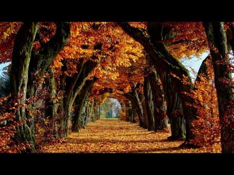 AkaSero and AkaSero999