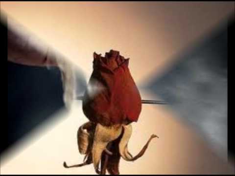 Coisas - Pery Ribeiro