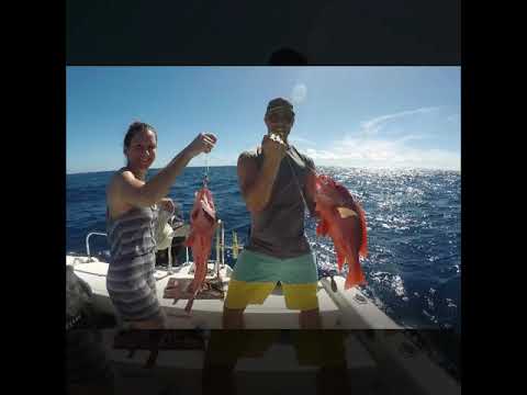 Red Snapper's Paradise