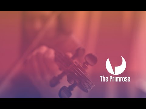 Primrose International Viola Competition: Quarter-Final Round, Day 1