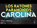 Los Ratones Paranoicos - Carolina - karaoke Instrumental