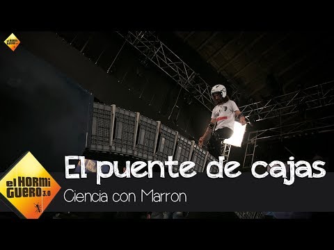 ¿Logrará Marron cruzar un puente gigante hecho con cajas? - El Hormiguero 3.0