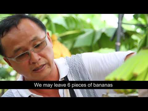 New look of agriculture and sustainable prosperity – expansion of agricultural product export