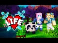 Lizzie Gave Me A PANDA Minecraft X Life 11