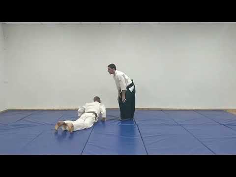Aikido Basic Techniques: Tsuki - Sakyo