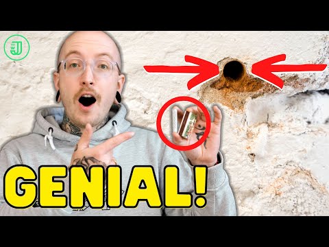 DAS solltest du unbedingt über DÜBEL wissen! | Jonas Winkler