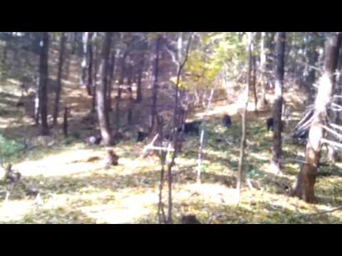 VID_20161101_114043.3gp