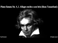 BEETHOVEN Piano Sonata No. 4 movt 1 (Reza Touserkani)