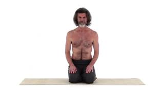 LÖWENHALTUNG – SHIMA ASANA