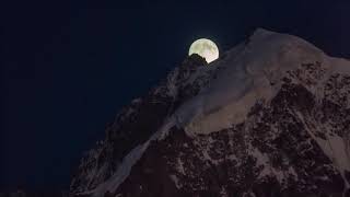 Type O Negative - Haunted [Music Video]