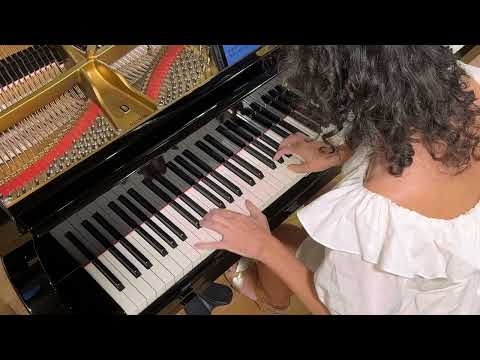 Luboš Sluka - Klavírní brevíř / Piano Breviary