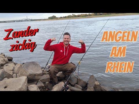 Zanderangeln am Rhein mit Köderfisch#zander #rhein #angeln 