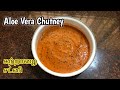 Aloe Vera Chutney கற்றாழை சட்னி Aloe Vera Recipes Flavours Of Tamilnadu Aloe