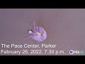 Benise Live in Concert in Colorado!