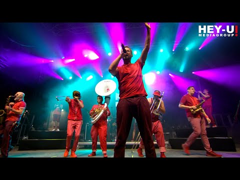 Moop Mama - Wildnis [Live 2022]