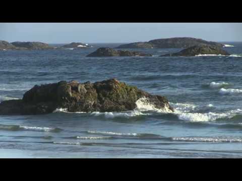 Susan Schuppli "Testigos materiales" Seminari Forensic