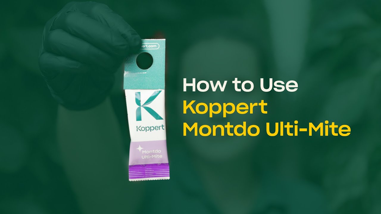 Video preview poster