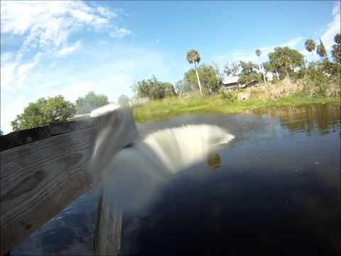 BMX jumping in water