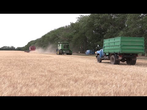 Дохідна частина від продажу зернових у цьому році не покриє всіх витрат – аграрій півдня Одещини