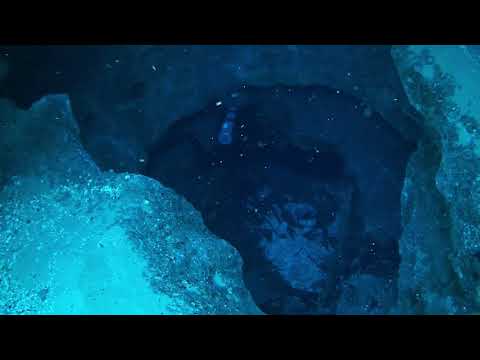 Scuba Diving - Morrison Springs - September 2019