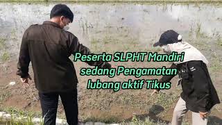 Download lagu SLPHT MANDIRI LAB.PHP BANYUMAS#Nada Syahdu Chanel mp3