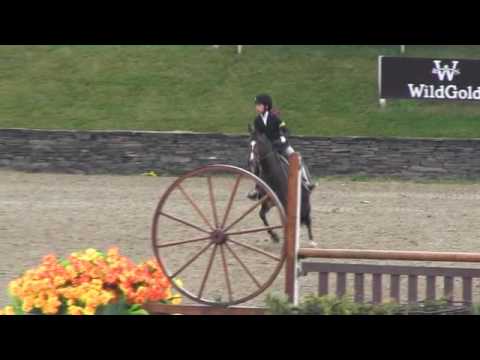 Video of Rhyme N' Reason ridden by Jordyn Goldsmith from ShowNet!