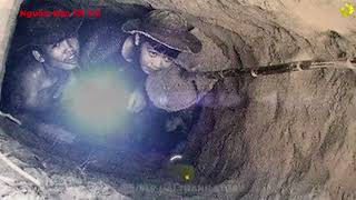 video thuyết minh tham khảo