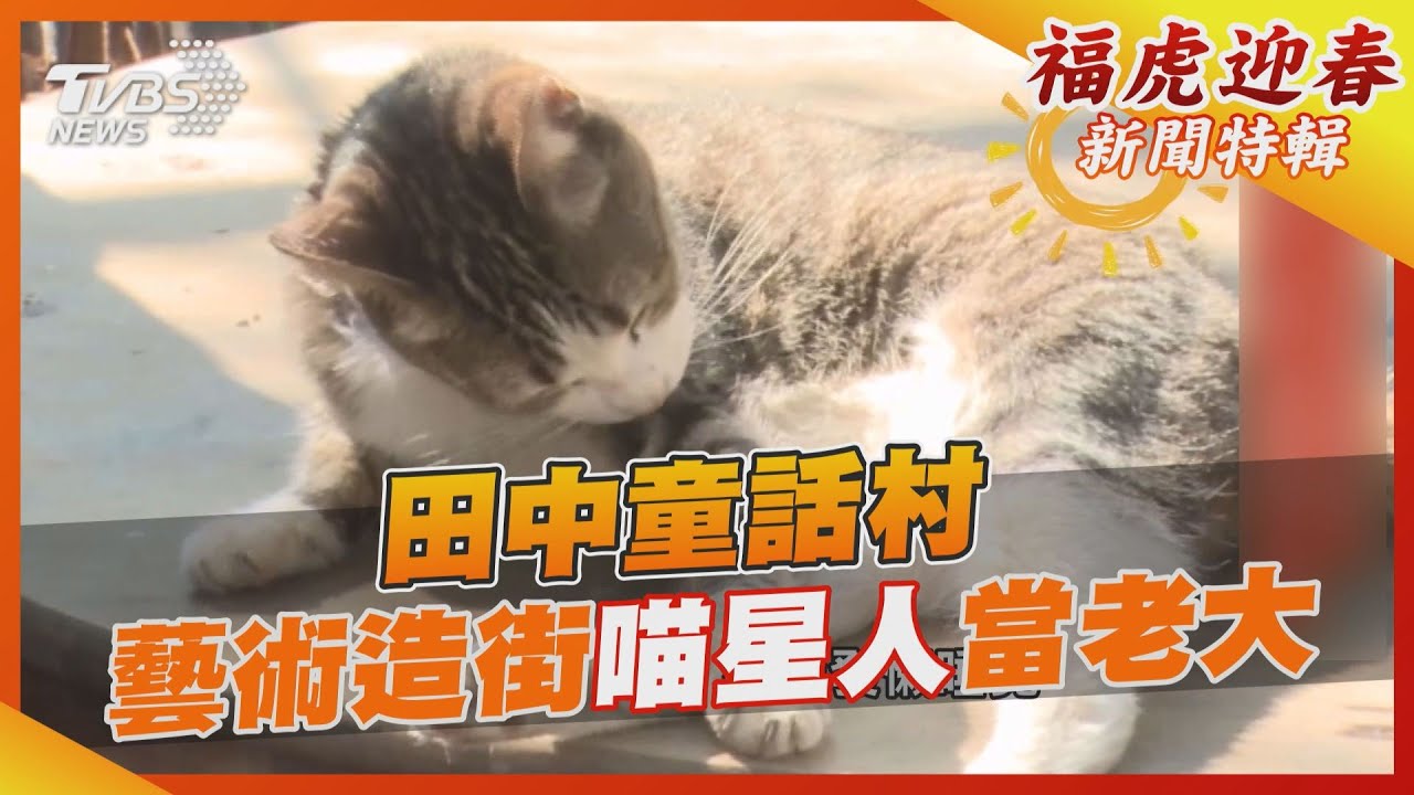 田中童話村 藝術造街喵星人當老大