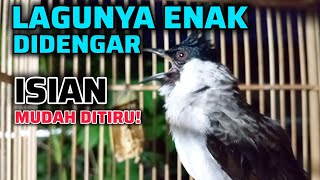 Download lagu KUTILANG GACOR ISIAN LAGU ENAK DIDENGAR MUDAH DITIRU - COCOK UNTUK MASTERAN KUTILANG DI PAGI HARI mp3 Download lagu KUTILANG GACOR ISIAN LAGU ENAK DIDENGAR MUDAH DITIRU - COCOK UNTUK MASTERAN KUTILANG DI PAGI HARI mp3