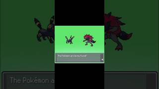 Good!! Umbreon and Zoroark Fusion #pokemon #pokemontcg #pokemoncommunity #pokemonfan