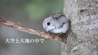 大空と大地の中で　　ギター弾き語りcover 北海道